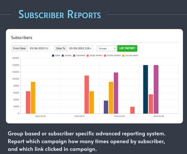 Subscriber Repor